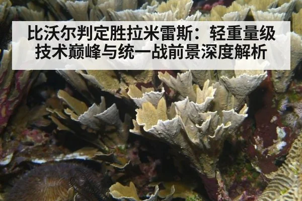 比沃尔判定胜拉米雷斯:轻重量级技术巅峰与统一战前景深度解析